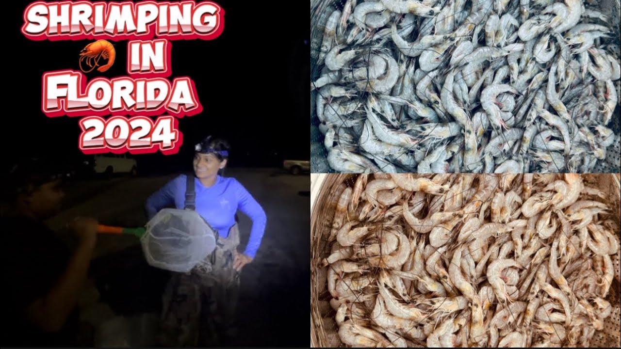 Shrimping Florida 2024 - Maxresdefault