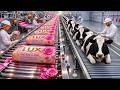 From Raw Materials to Lux Soap Bars – Inside the Giant USA Factory