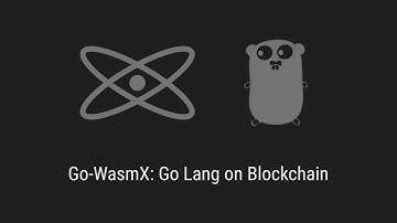 Go-WasmX: Go Lang on Blockchain