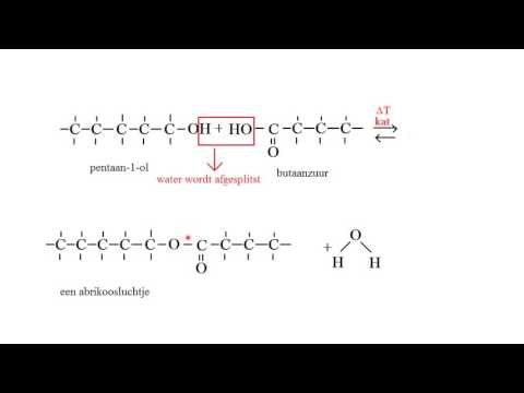 Video: Wat is de rol van glycerine?