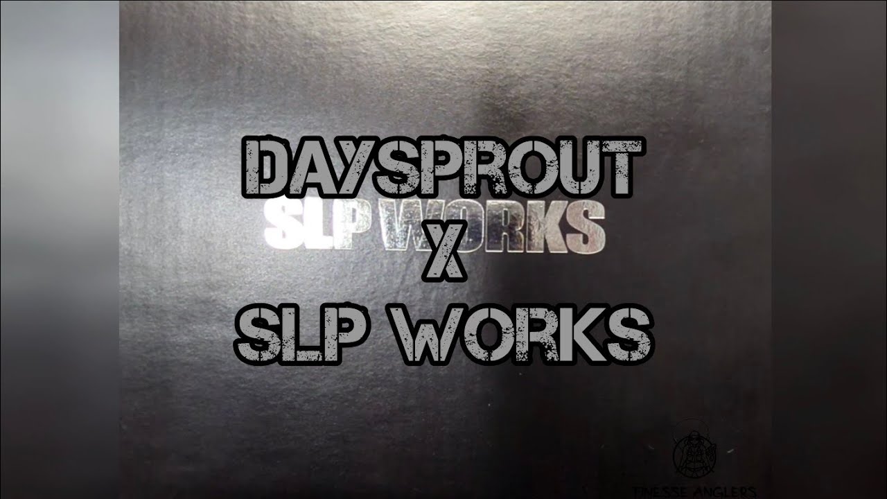 付属品は画像の物ですDAYSPROUT×SLPWORKS 　DSLT2000SS-P　23LTD