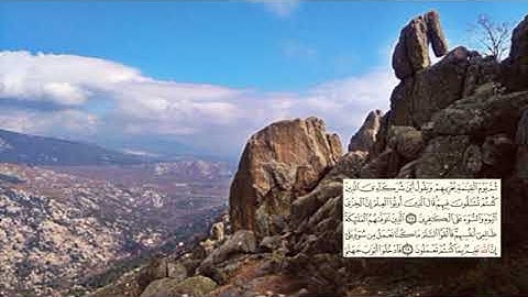270 -page سعد الغامدي - -سورة النحل -Les abeilles (An-Nahl) 16