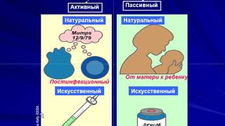 Адаптивный иммунитет. Органы иммунной системы.