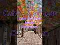 Exciting Downtown Cabo San Lucas! So much to see and do. It's exhilarating! #shorts #cabosanlucas