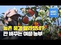 ‘귀농 여성 농부’ 젊은 농촌 일군다 / KBS뉴스(News)