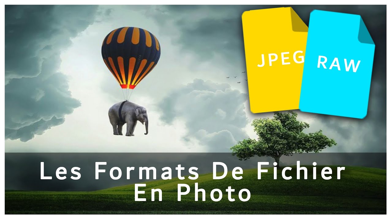 Les Formats De Fichier Numérique ! (Apprendre Les Bases De La ...