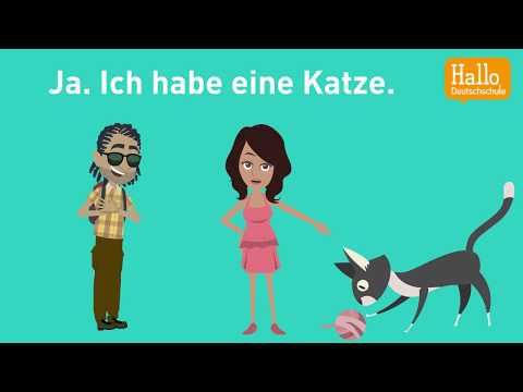 Deutsch lernen mit Dialogen / Lektion 23 / Hast du ein Haustier? / Was isst du am liebsten?