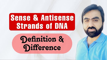 Sense & Antisense Strands of DNA| Coding & noncoding strands | Definition | Difference | English
