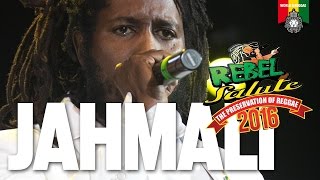 Video-Miniaturansicht von „Jahmali Live at Rebel Salute 2016“