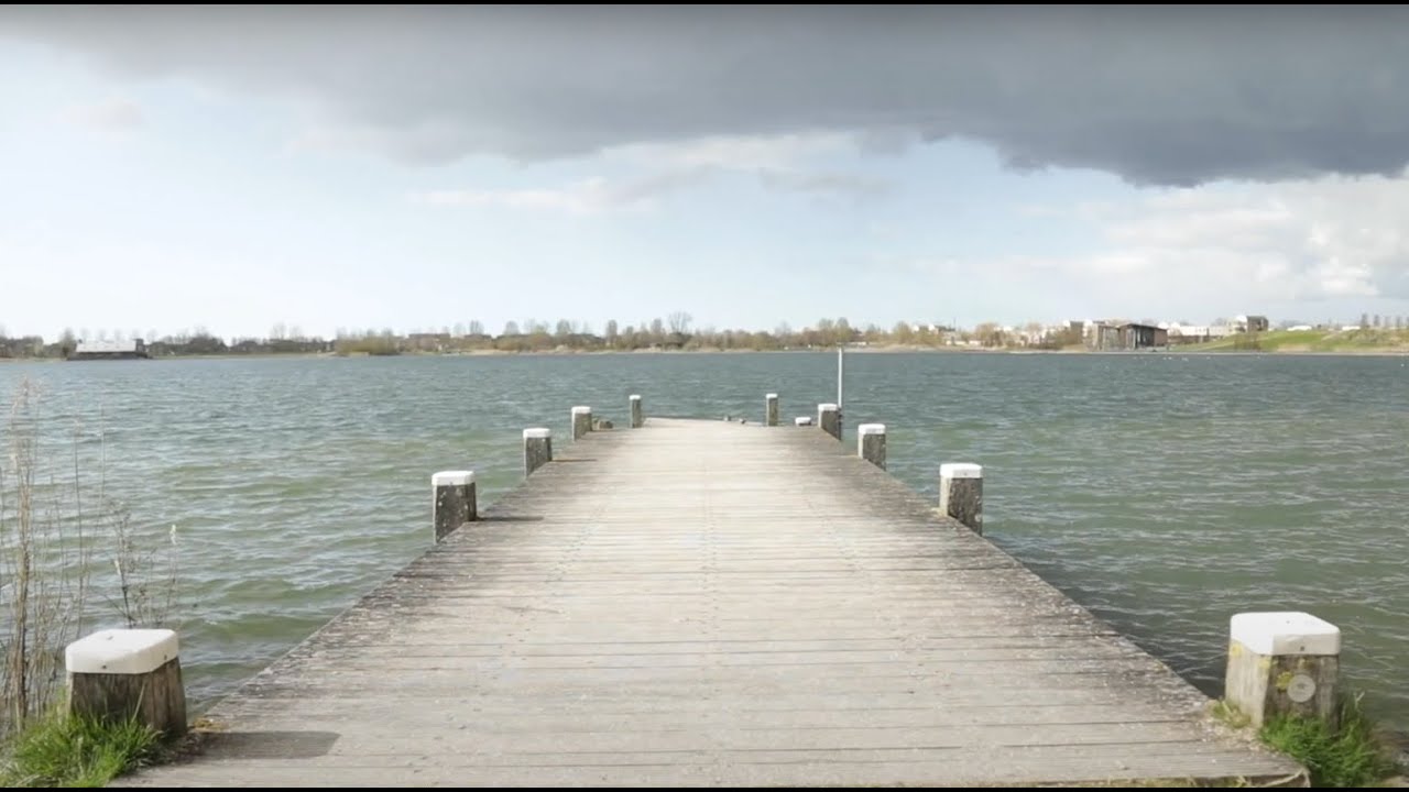 HAARLEMMERMEER GROEIT YouTube