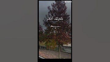 ماتيسر من سورة النحل ❤️