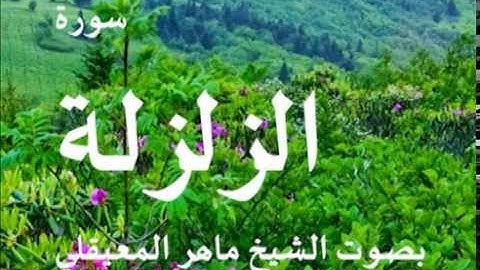 سورة الزلزلة بصوت الشيخ / ماهر المعيقلي 99