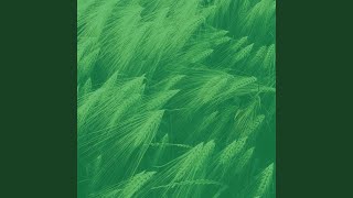 Excellent Backdrops for Quiet Tranquility