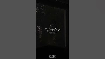 ما تيسر من سورة مريم | القارئ شريف مصطفى | قرآن كريم