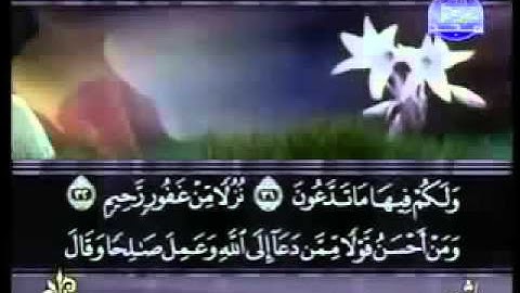 سورة فصّلت  الشيخ سعد الغامدى Sheikh Saad Al Ghamdi Surat Fussilat