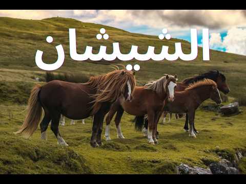 الشيشان كما لم ترها من قبل ???????? | أرض الجبال والصمود المذهلة!