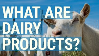 What are Dairy Products? We Break Down What Counts - and What Doesn't