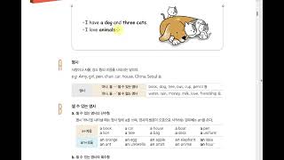 Grammar Wise Starter 1강