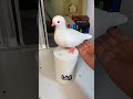 Щ Ш ШЈШ ЩЉШЇ Ш Щ Щѓ Ш Щ Ш Щ Ш Щ ЩЃЩЉ Щ Ш Ш Ш Щ ШЁЩЉШЄ рџ ЉпёЏрџљ Щ Ш ШЈШ ЩЉШЇ Ш Щ Щѓ Ш Щ Ш Щ Ш Щ ЩЃЩЉ Щ Ш Ш Ш Щ ШЁЩЉШЄ рџ ЉпёЏрџљ