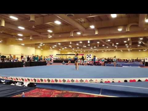 Level 8 Floor Routine 2015