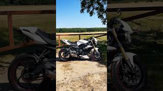 Triumph street triple start up #triumph #shortsfeed #motorcycle #fyp #scproject #shorts #shorts