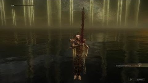 ELDEN RING™ Final boss New Game plus