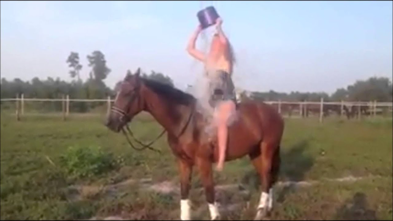 Ľadová vyzva na koni