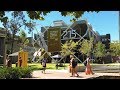 Why study a science  engineering degree at curtin