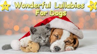 Christmas Music For Dogs To Go To Sleep 🐶🎅🏼🎄 Calming And Relaxing Piano Xmas Carol