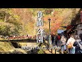 An Autumn walk to Minoh Falls | Japan