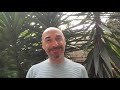 Why chasing happiness is making you unhappy!