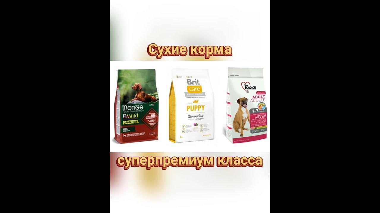 Корм для собак премиум класса список. Корм супер премиум класса. Корм для собак супер премиум класса. Корм холистик класса для кошек. Кошачий корм для котят премиум класса.