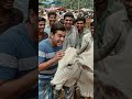 Eid Ka Season tha sab Mahangi Gain Dhondrahe thay #qurbani2026 #qurbanvlogs #mahangi #mandi