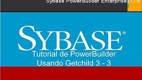 Tutorial de PowerBuilder: usando getchild en datawindow 3 - 3