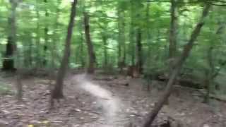 Walk Chapel Hill, North Carolina - Part 1