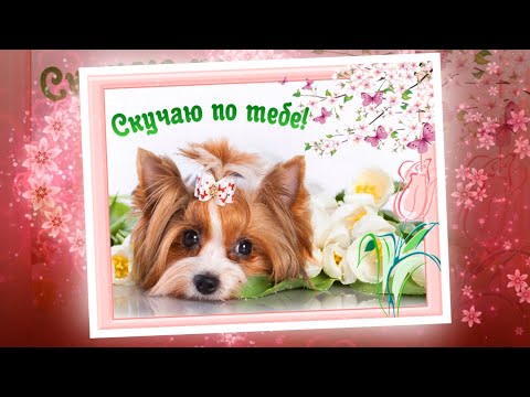 Очень красивая открытка Скучаю по тебе. Я скучаю без тебя.