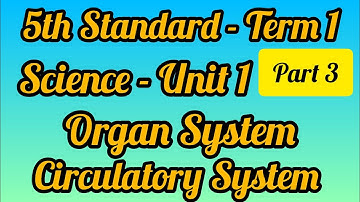5th Std-Term 1-Science-Unit 1-Organ System -Circulatory System- Part 3 #circulatorysystem#5thstd
