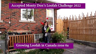 Accepted Monty Don s Loofah Challenge 2022 - Growing Loofah Sponges in Canada zone 6a