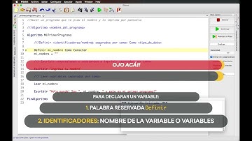 Mi primer programa  | Programación | Introducción y técnicas de programación   V1   Egg Educación