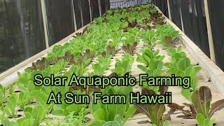 Solar Aquaponic Farming W\/ Tesla Battery @ Sun Farm Hawaii 🏝