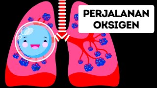 Perjalanan Oksigen di Dalam Tubuh