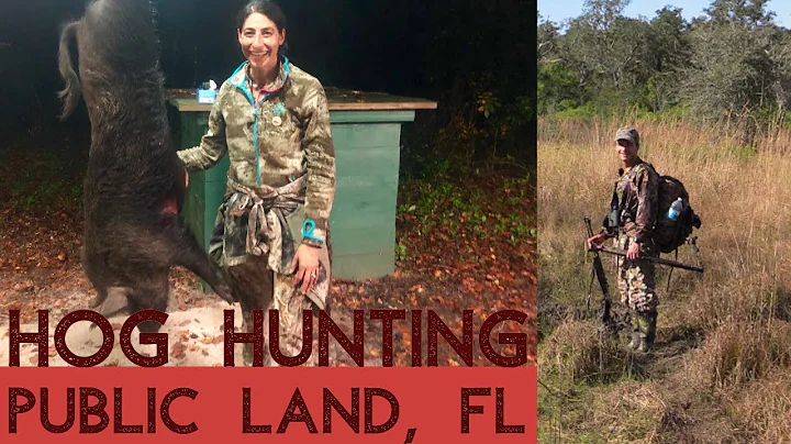 Hog Hunting Adventure, Central Florida, Public Land, DIY