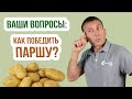 Парша на картофеле - болезни картофеля и меры борьбы с ними! Чем обработать картофель от парши?