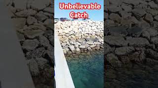 How to get more Fish in Oman/ Fishing Vlog/ Best fishing location in Oman Muscat Darsait