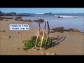 Video Image