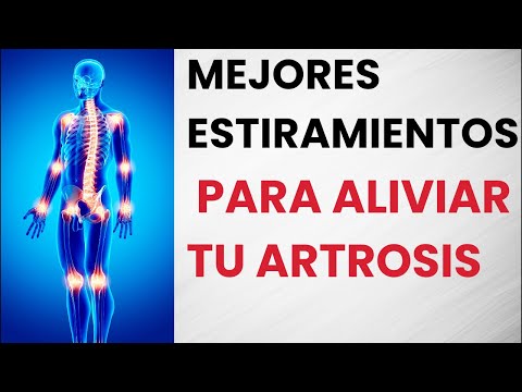 ✅Los MEJORES ESTIRAMIENTOS
