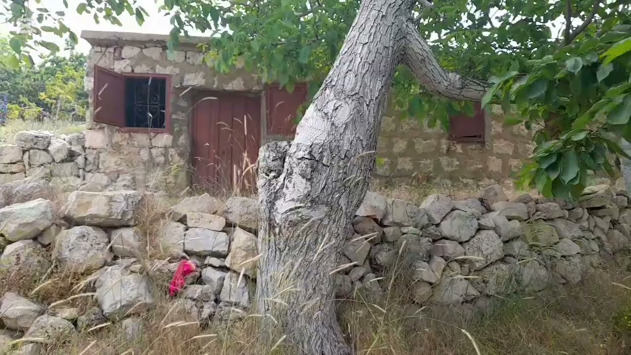  بيوت قديمة..مهجورة ومنسية ...من منطقة بعزكتا-بشري في أعالي جبال لبنان..lebanon #bcharre #landscape 