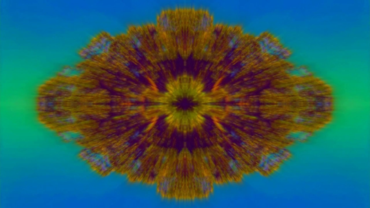 panda bear ~ untitled (Visionaire #53 - Sound)