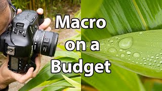 How to Use EXTENSION TUBES for Close Up & Macro Photography (With Canon EF f/1.8 STM Lens)