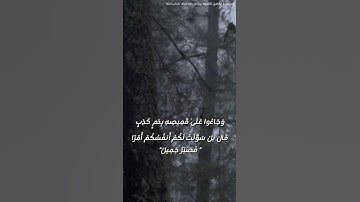 "تلاوة نادرة ومُحسّنة من سورة يوسف بصوت عبد الباسط | مع صوت المطر للخشوع 🌧️🎧 #قرآن #سورة_يوسف"